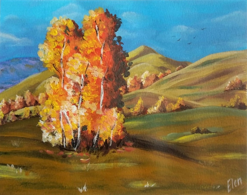 Холмы